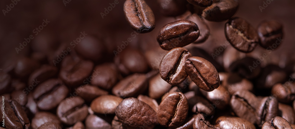 Coffee Beans On Dark Background Coffee Beans On Dark Background