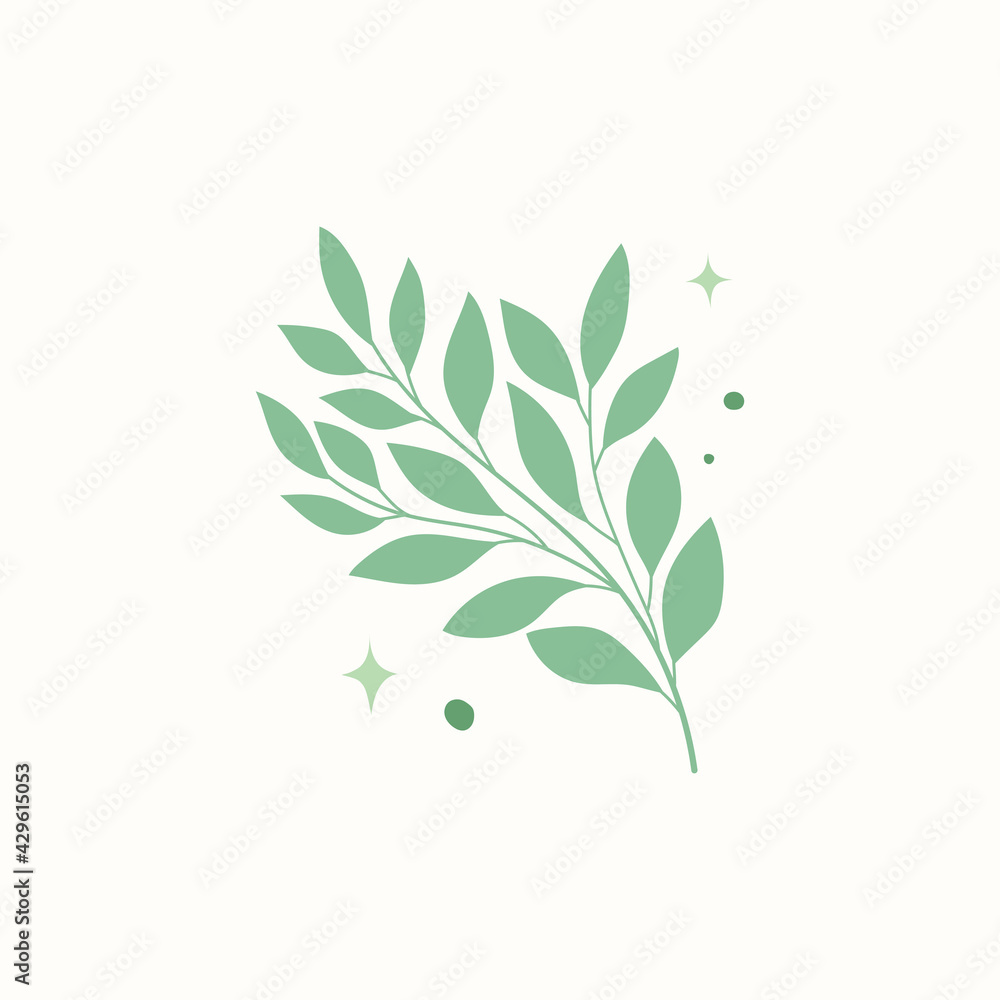 Fototapeta premium Set of&nbsp; modern floral vector banner. Botanical illustration template background. Abstract plant elements for print design, social media, post banner and presentation.