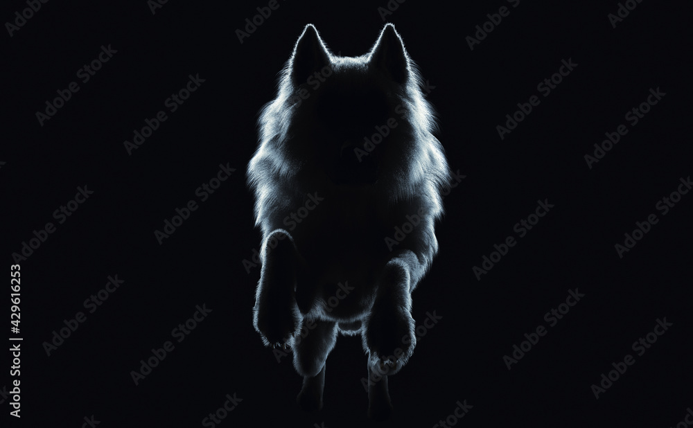 飛び掛かる狼の正面シルエット 3dイラストレーション Stock Illustration Adobe Stock