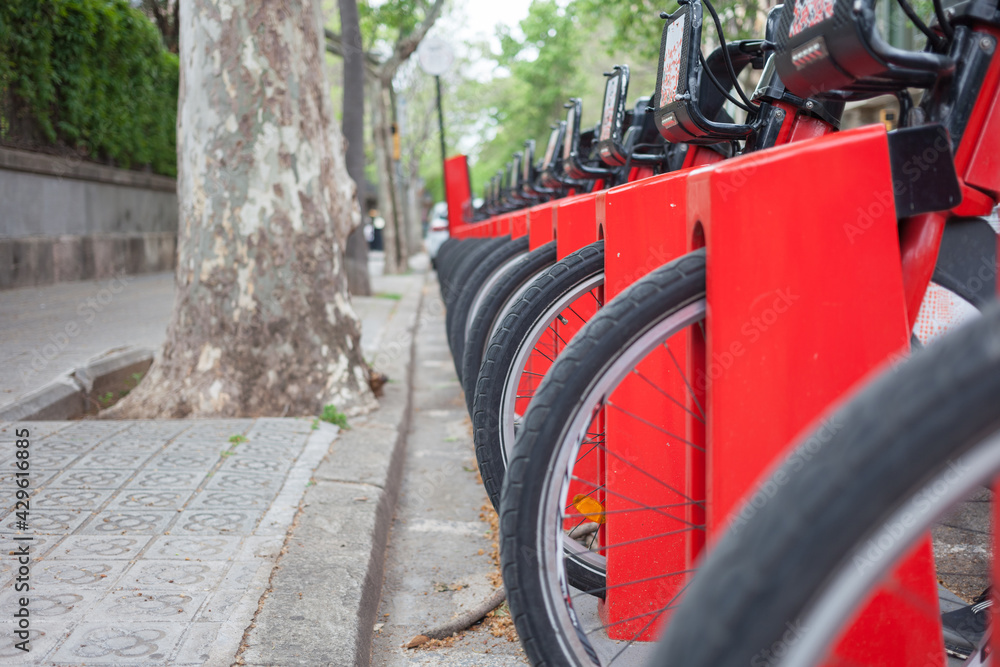 Fototapeta premium Bicycle parking in the city. Bike rent. Ecological transport.