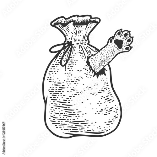 Cat in bag poke sketch engraving vector illustration. T-shirt apparel print design. Scratch board imitation. Black and white hand drawn image.