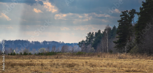 Early spring in the field. Sunlight through the clouds. Forest on the horizon. Dramatic clouds. Landscape with a field and trees.