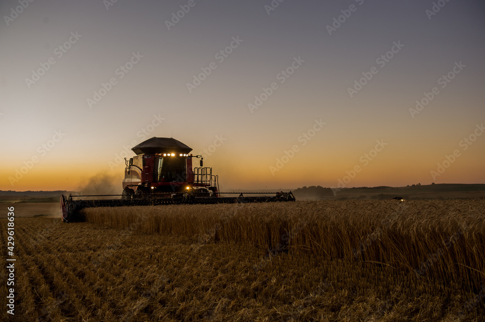 Fototapeta premium agriculture