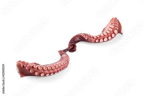 Photography Octopus legs in different positions isolated on white
 Curved long limbs of mari