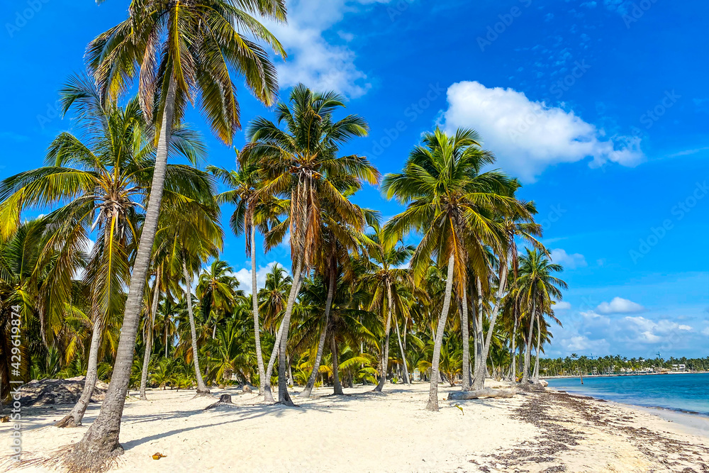 Beach on the tropical island. Clear blue water, sand and palm trees. Beautiful vacation