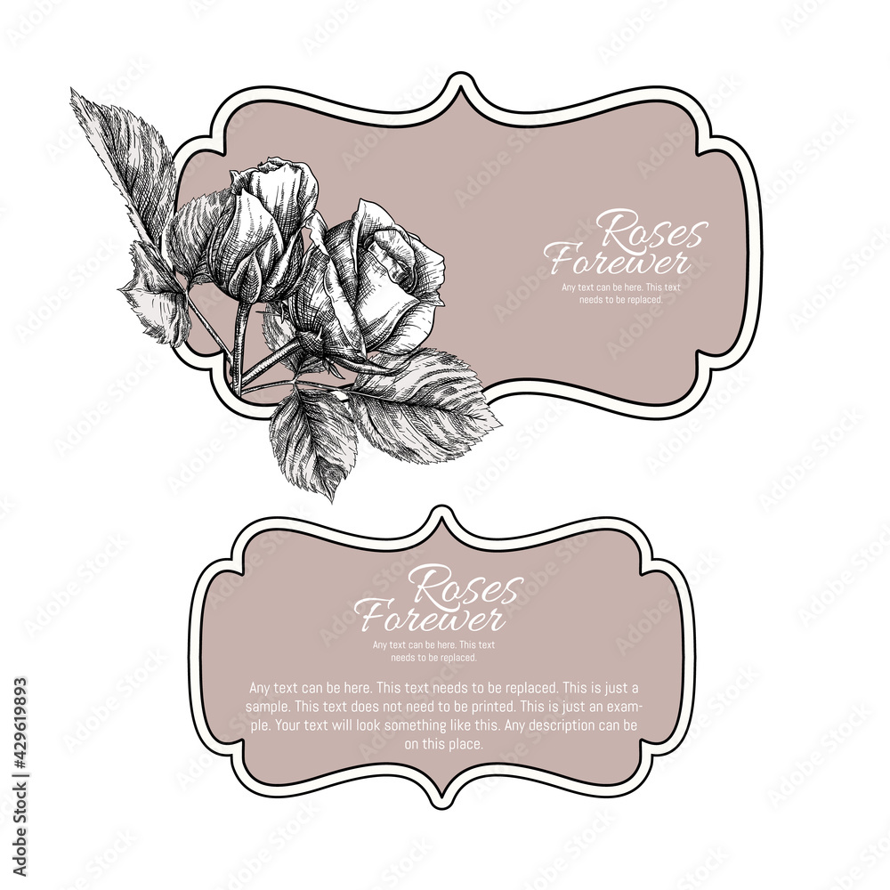 Set of face and back labels, stickers for food products or cosmetics in ...
