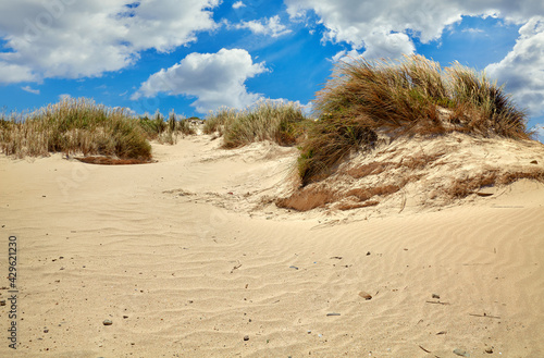 Sandy sand-dune with grass at coast beach of Atlantic ocean in Portugal with blue sky and clouds.