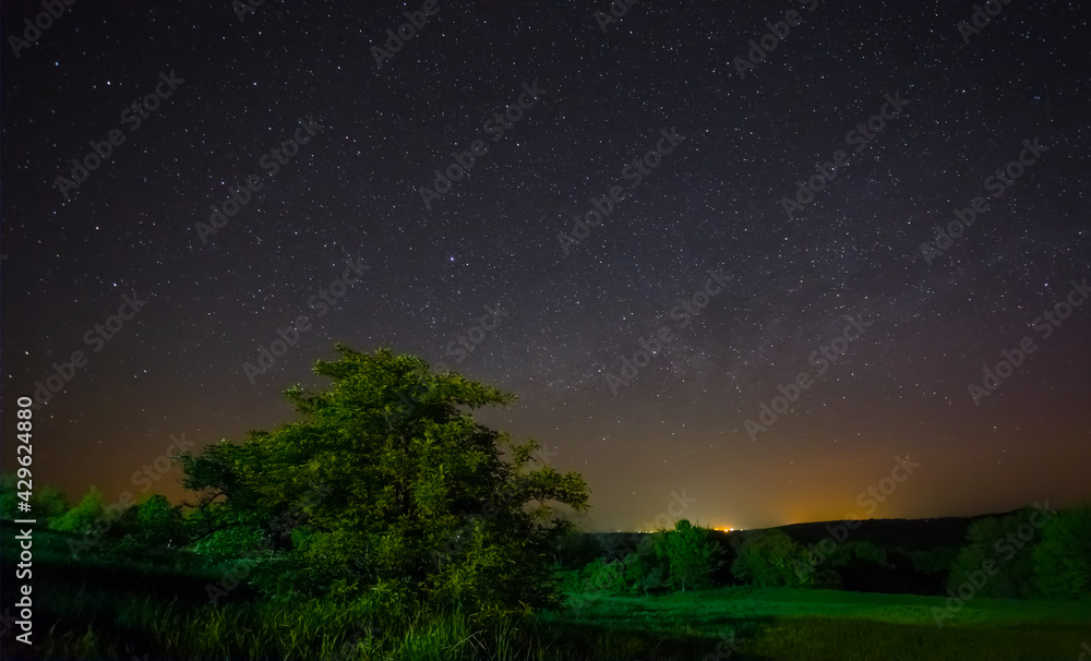 starry sky over the green fields, night countryside scene starry sky over the green fields, night countryside scene
