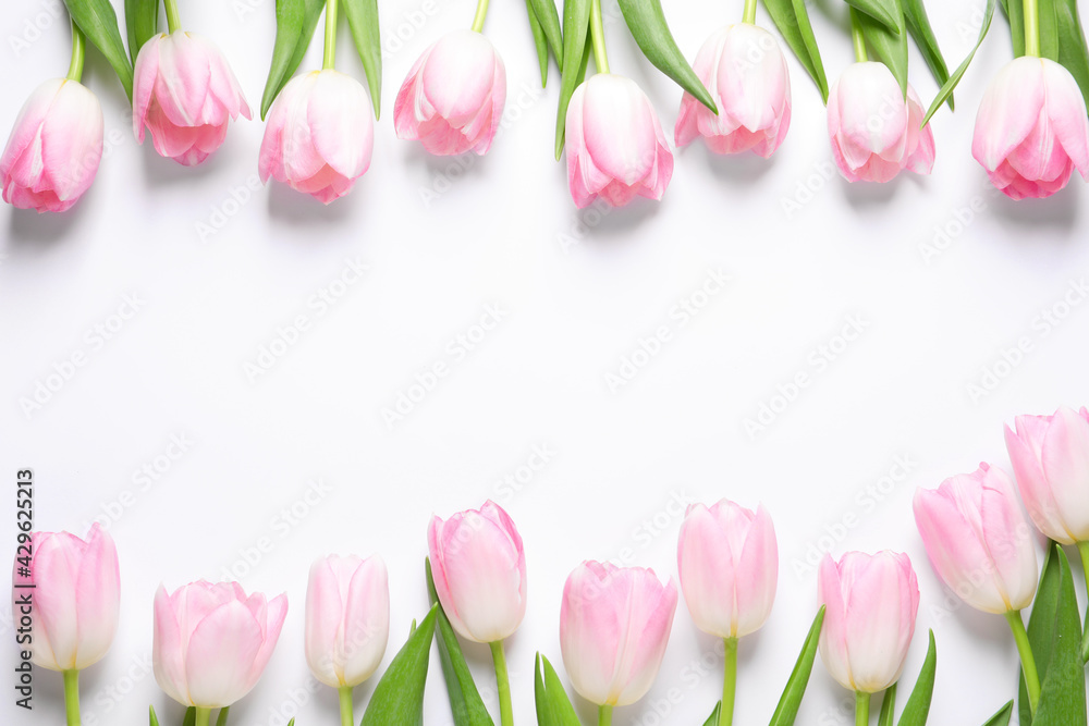 Fototapeta Beautiful pink spring tulips on white background, top view. Space for text