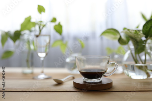 Coffee in glass and plants on glass vase and cup