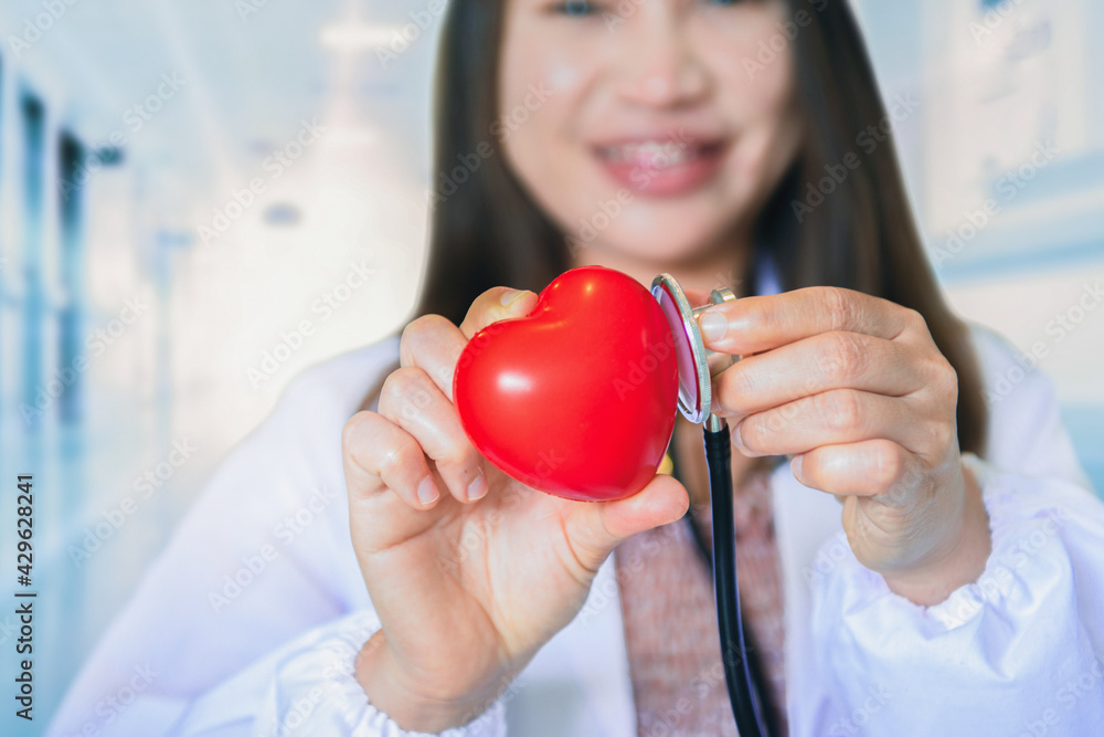 Female doctor cardiologist holding heart model, Medical health care and doctor staff service concept. Female doctor cardiologist holding heart model, Medical health care and doctor staff service concept.