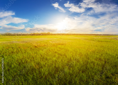 green rural fields at the dramatic sunset, countryside scene, agricultural background