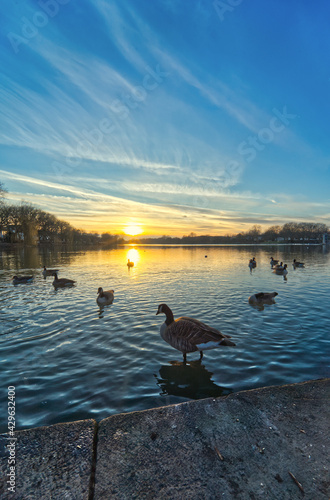 Beautiful sunset at the Aasee in Munster, Germany
