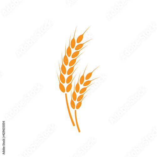 Ears of wheat. Logo. Vector illustration on white isolated background