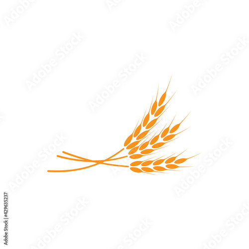 Ears of wheat. Logo. Vector illustration on white isolated background