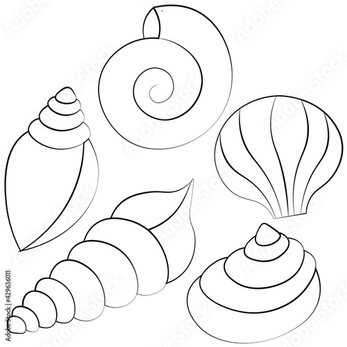 Mini set Seashells. Draw illustration in black and white