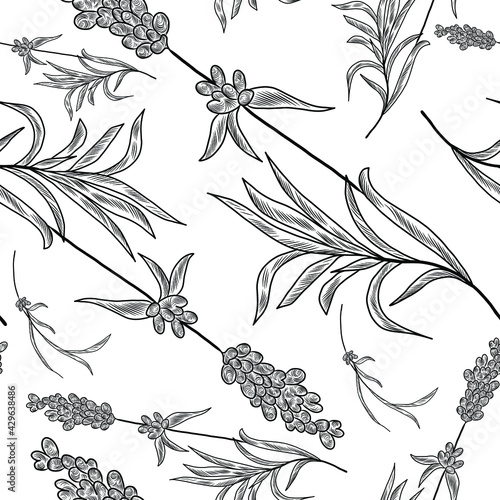 Lavender flowers and leaves on the seamless floral pattern, floral lavender background