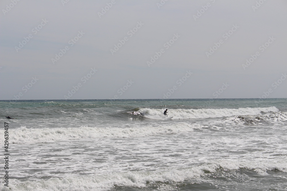 Surf Surf