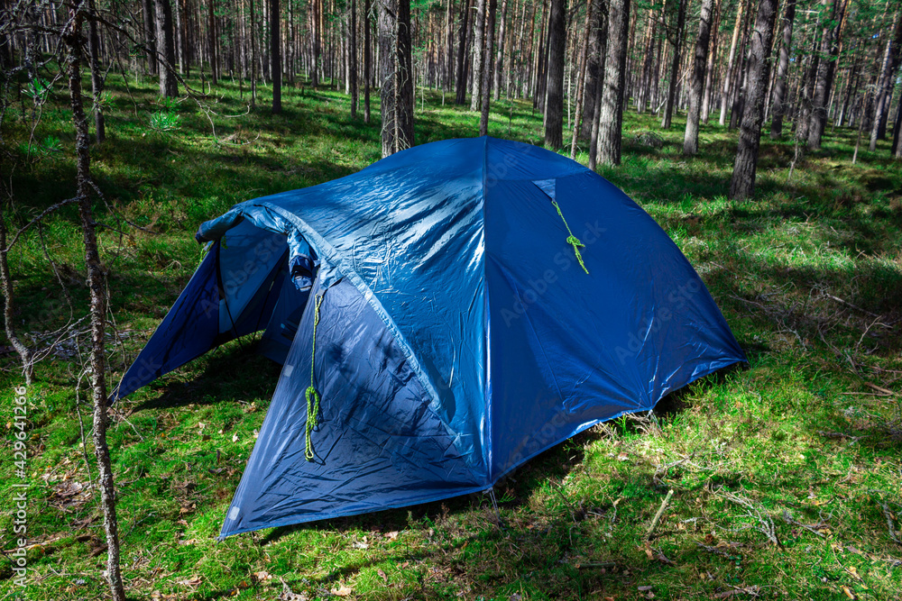 Rest with a tent. Outdoor recreation. A tent in the woods.