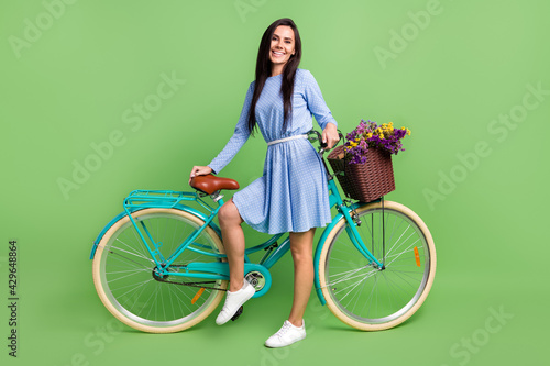 Fototapeta Naklejka Na Ścianę i Meble -  Photo of funny adorable young lady wear dotted clothes smiling holding bicycle isolated green color background