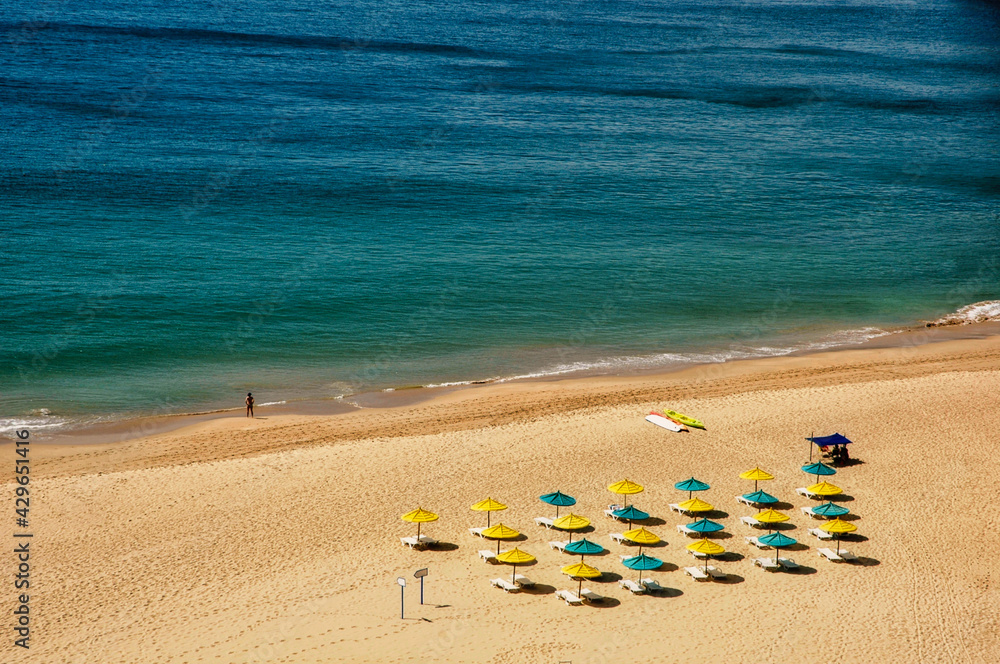 sunny morning at the beach