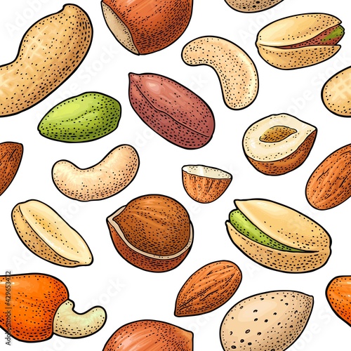 Seamless pattern whole and half nut seed. Vector engraving