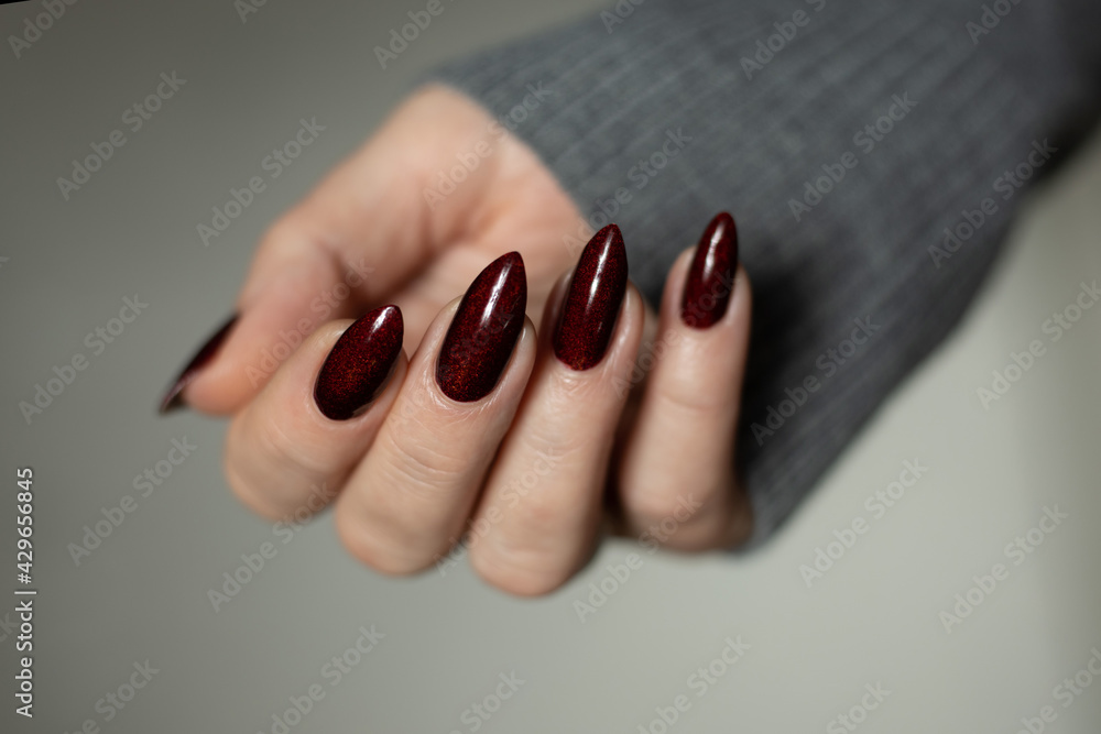 Woman hand with long nails and a bottle of dark red burgundy nail