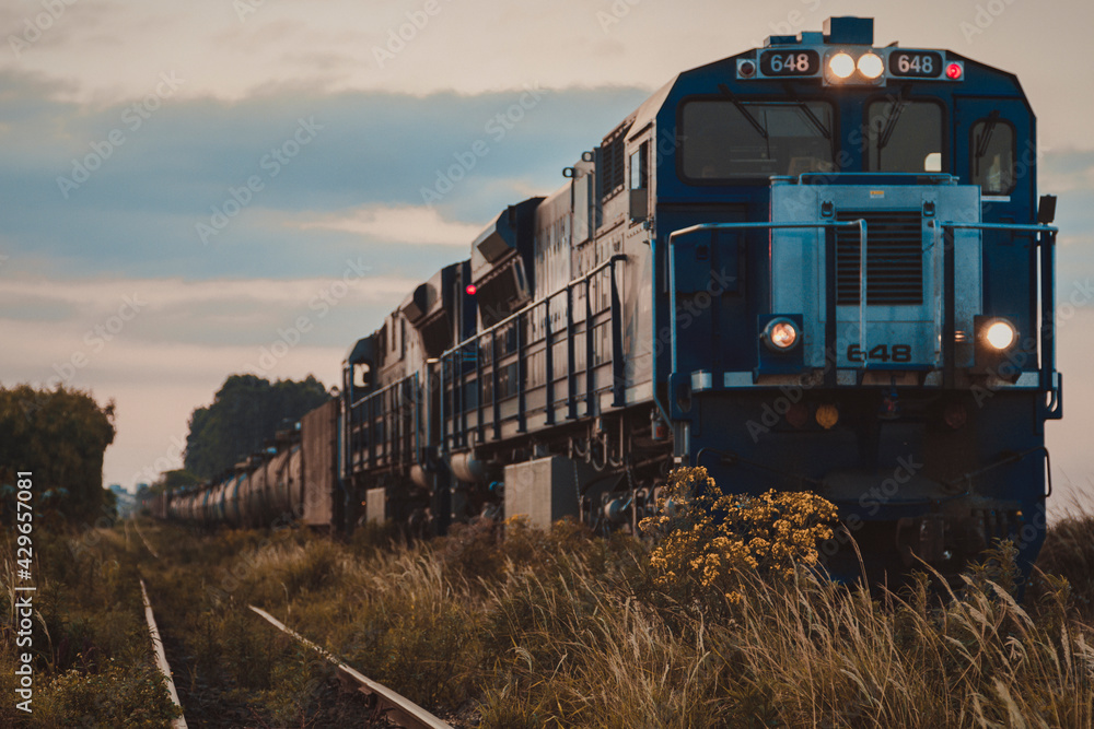 Fototapeta premium Trem 