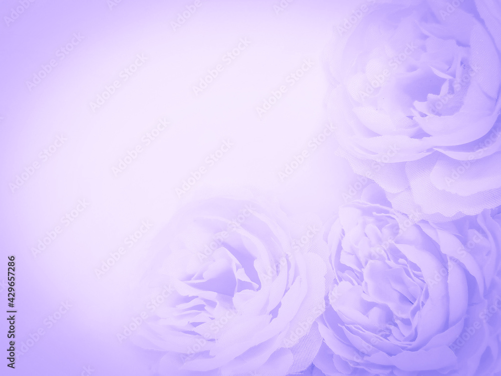 Beautiful abstract color blue and purple flowers on white background