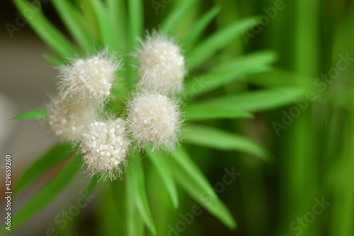 Artificial flower in the form of a dandelion