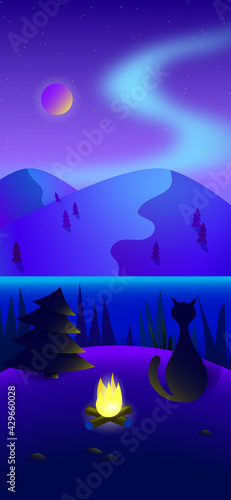 dark quiet night, cat, bonfire, beautiful view, splash screen