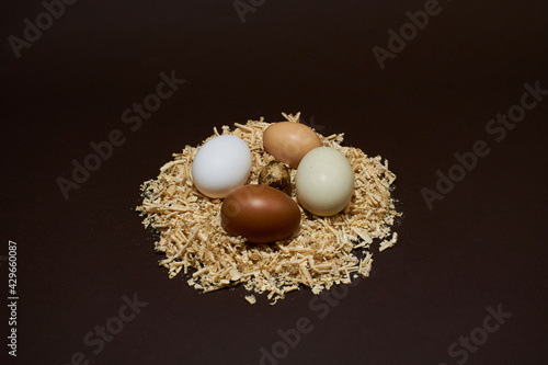 Fresh chicken and quail eggs in a nest on sawdust