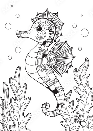 Sea horse doodle coloring book page. Antistress for adults. Zentangle style for print, tattoo, coloring book page. Black and white contur illustration