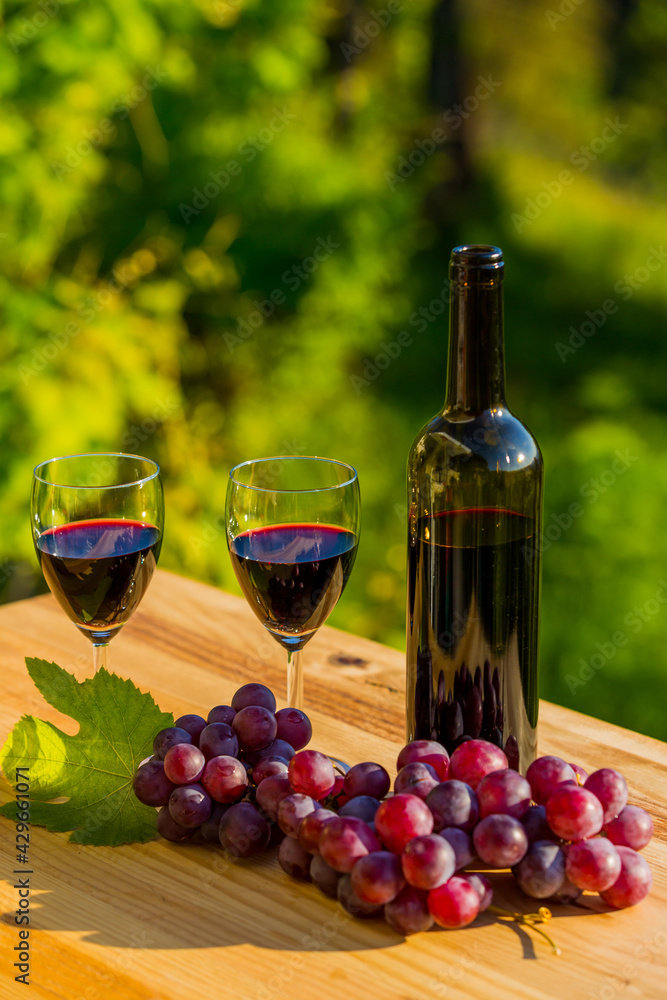 Fototapeta premium wine bottle and grapes