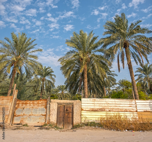 Qatif Farms