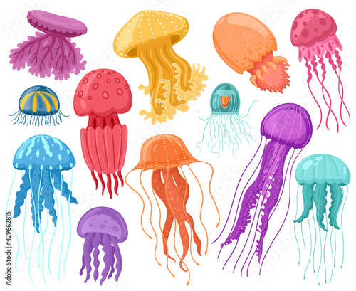 Cartoon ocean jellyfish. Marine underwater jellyfish, ocean sea transparent creatures vector isolated illustration set. Cute jellyfish animals