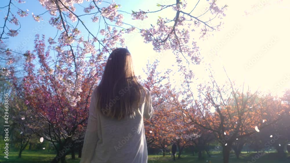 Young woman with long hair enjoys spring garden in bloom. Girl walking in Japanese Garden with blooming trees. Slow motion girl touching with hand playfully blossoms sakura flower. Dreamy Soft Focus. Young woman with long hair enjoys spring garden in bloom. Girl walking in Japanese Garden with blooming trees. Slow motion girl touching with hand playfully blossoms sakura flower. Dreamy Soft Focus.