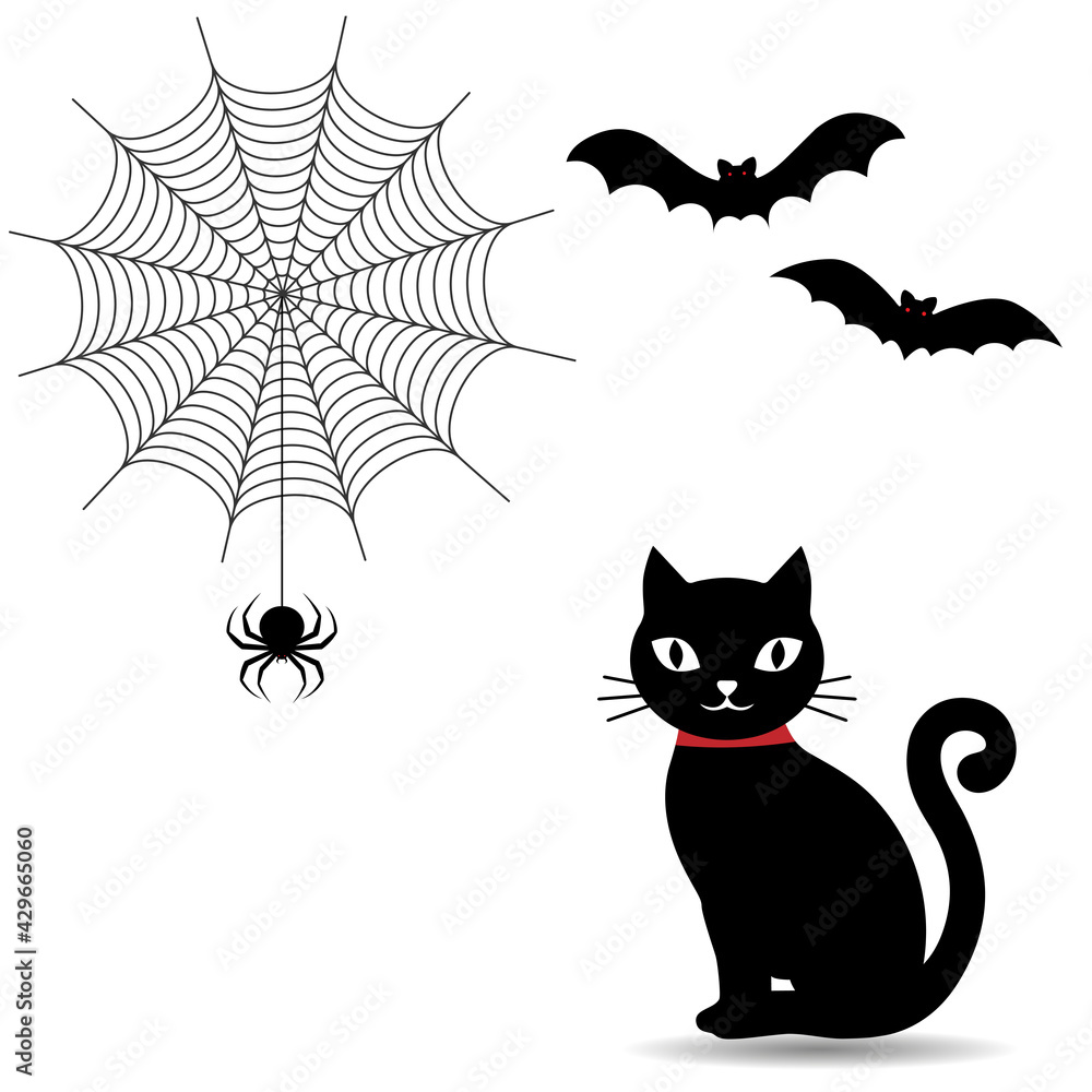 Obraz premium halloween cat and bats