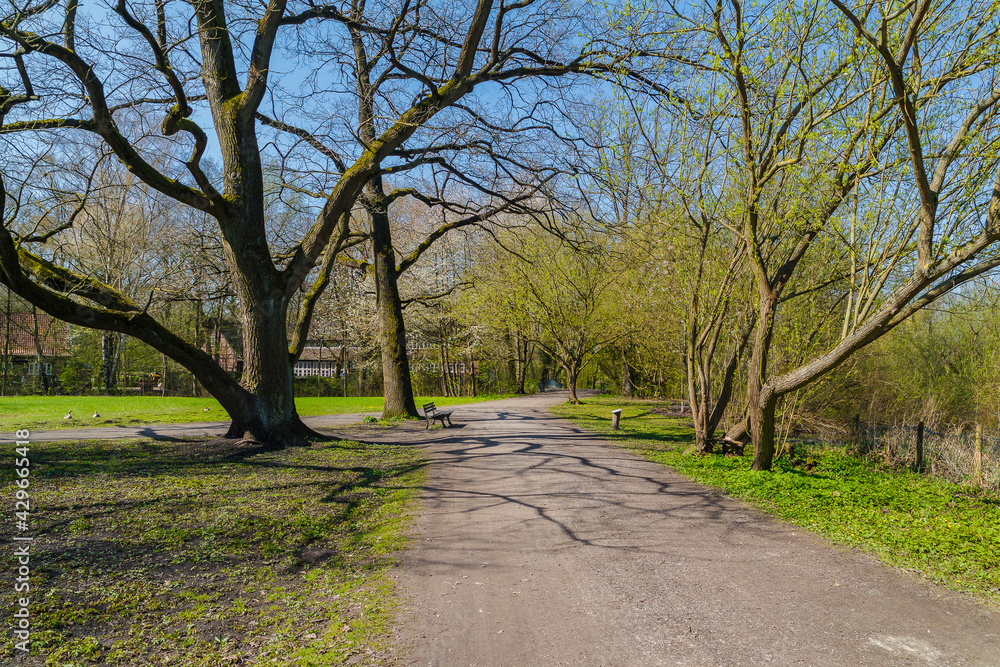 Naklejka premium Frühling in Hermann-Löns-Park Hannover