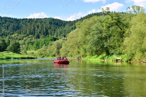 Fototapeta Naklejka Na Ścianę i Meble -  rzeka Poprad, Beskidy, Muszyna, woda, 