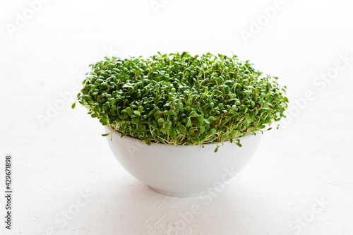 Fresh microgreen alfalfa sprouts in a bowl on a white background.