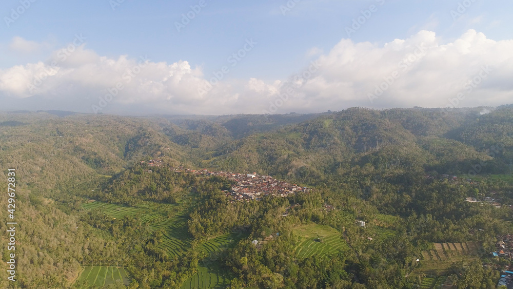 village among rice fields and terraces in Asia. aerial view farmland with rice terrace agricultural crops in countryside Indonesia, Bali. village among rice fields and terraces in Asia. aerial view farmland with rice terrace agricultural crops in countryside Indonesia, Bali.