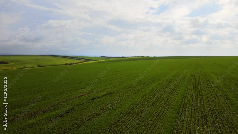 Aerial view of bright green agricultural field in early spring. Aerial view of bright green agricultural field in early spring.