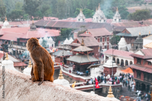 Pashupatinath Temple is one of the most significant Hindu temples of Lord Shiva in the world, located on the banks of the Bagmati River in the eastern part of Kathmandu, the capital of Nepal.