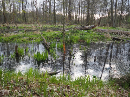 Fototapeta Naklejka Na Ścianę i Meble -  OLYMPUS DIGITAL CAMERA