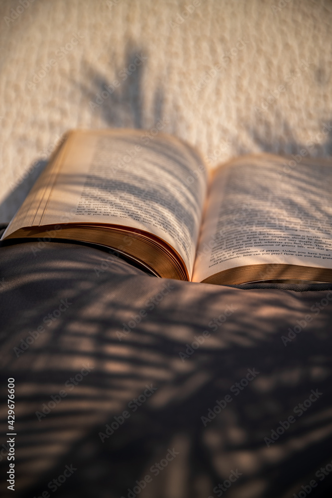 Obraz premium Reading on the Beach