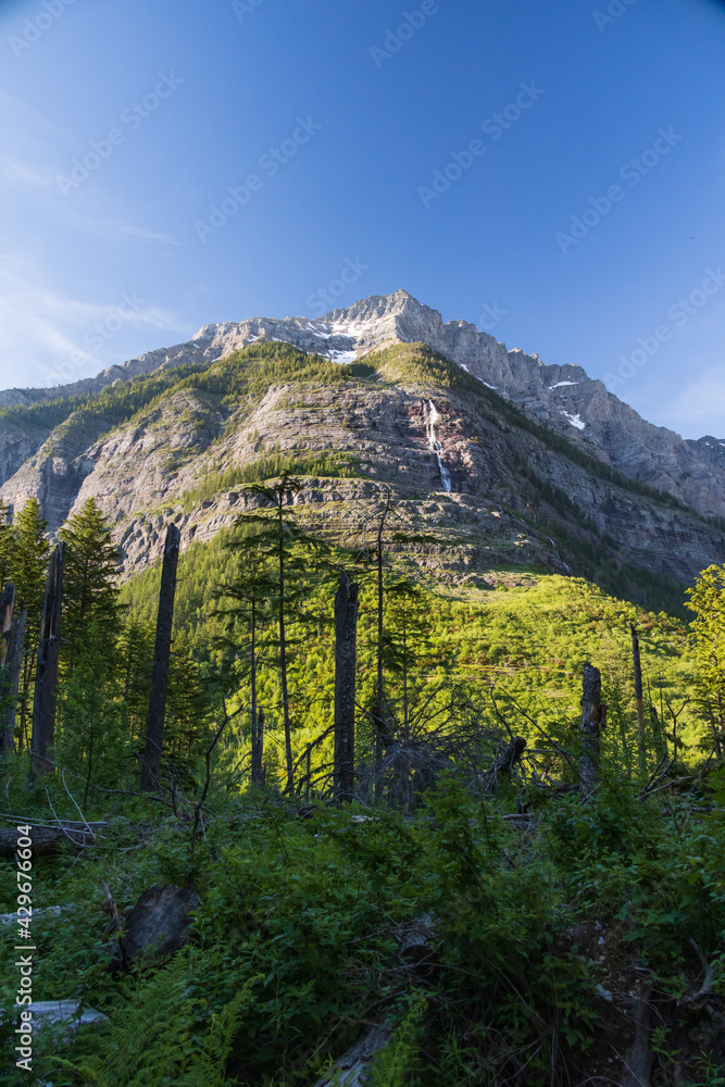 Fototapeta premium Mountain in Glacier National Park