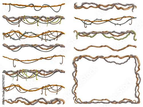 Stems hedera helix, ivy, liana, grapes, vine. Branches tropical creeper. Jungle plants. Isolated game cartoon vector on white background. 