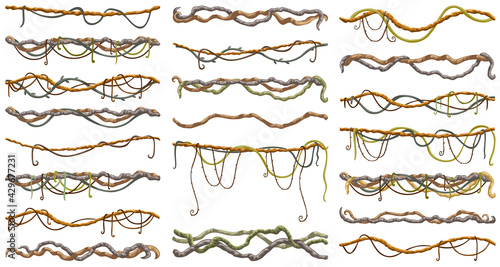 Stems hedera helix, ivy, liana, grapes, vine. Branches tropical creeper. Jungle plants. Set isolated cartoon game vector elements on white background. 