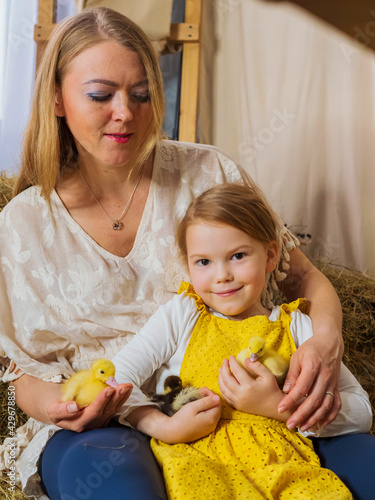Beautiful, joyful mother with her little daughter are playing with yellow ducklings
